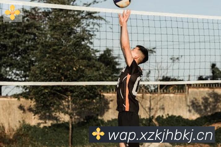 雅博app官网登录入口品牌故事