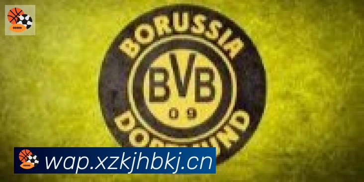 雅博app官网登录入口合作伙伴